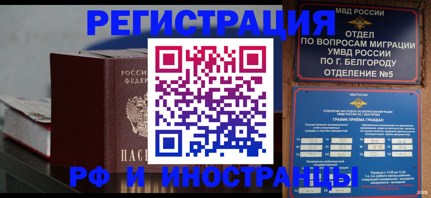 прописка 2025 в Завитинске